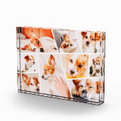 Tiere Moderne, einfache 9 Bilder Collage Fotoblock (Rechts)