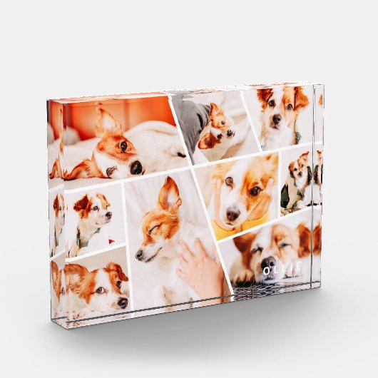 Tiere Moderne, einfache 9 Bilder Collage Fotoblock (Links)