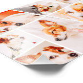 Tiere Moderne, einfache 9-Fotos-Sammlung Fotodruck (Ecke)