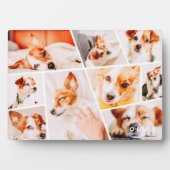 Tiere Moderne, einfache 9-Fotos-Sammlung Fotoplatte (Vorderseite)