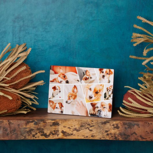 Tiere Moderne, einfache 9-Fotos-Sammlung Fotoplatte (Seite)