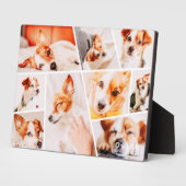 Tiere Moderne, einfache 9-Fotos-Sammlung Fotoplatte (Seite)