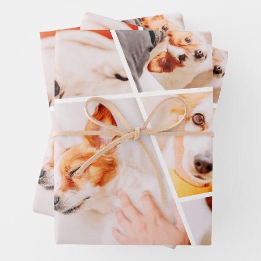 Tiere Moderne, einfache 9-Fotos-Sammlung Geschenkpapier Set (Beispiel)