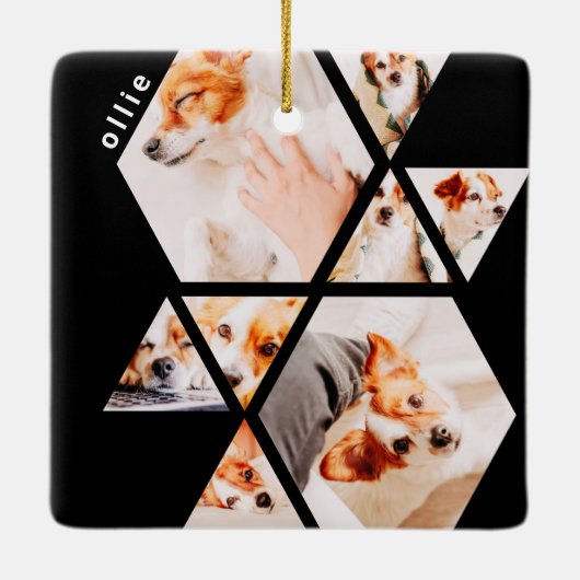 Tiere Moderne Formen Geometrisches 8 Collage Foto Keramikornament (Rückseite)