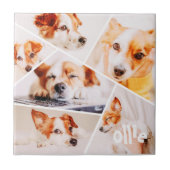 Tiere Modernes, benutzerdefiniertes 6-Bilder-Colla Fliese (Vorderseite)