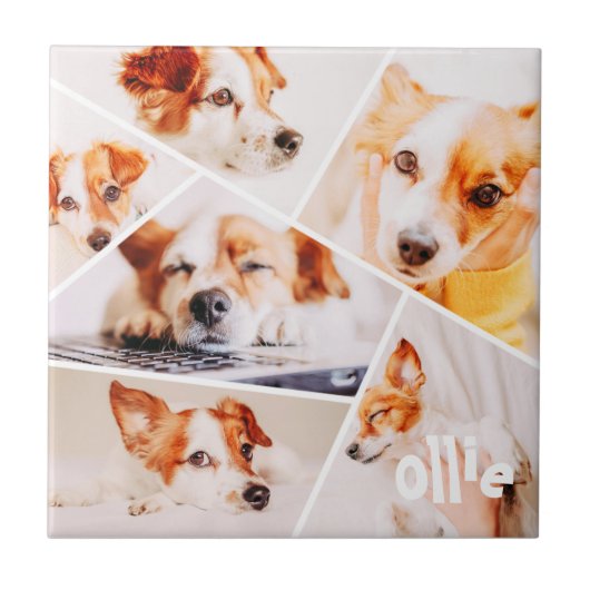Tiere Modernes, benutzerdefiniertes 6-Bilder-Colla Fliese (Vorderseite)