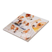 Tiere Modernes, benutzerdefiniertes 6-Bilder-Colla Fliese (Seite)