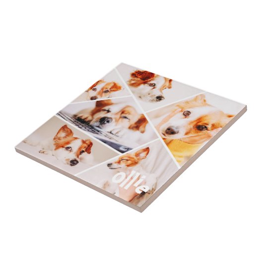 Tiere Modernes, benutzerdefiniertes 6-Bilder-Colla Fliese (Seite)