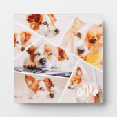 Tiere Modernes, benutzerdefiniertes 6-Bilder-Colla Fotoplatte (Vorderseite)