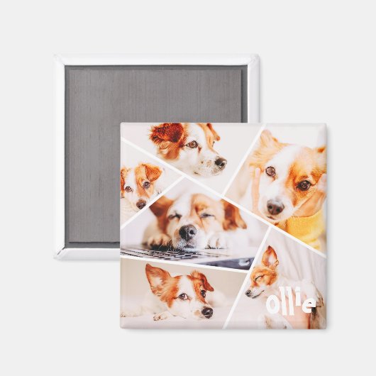 Tiere Modernes, benutzerdefiniertes 6-Bilder-Colla Magnet (Vorderseite/Rückseite)