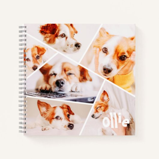 Tiere Modernes, benutzerdefiniertes 6-Bilder-Colla Notizblock (Vorderseite)