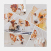 Tiere Modernes, benutzerdefiniertes 6-Bilder-Colla Ornament Aus Glas (Vorderseite)