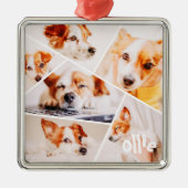 Tiere Modernes, benutzerdefiniertes 6-Bilder-Colla Ornament Aus Metall (Vorne)