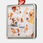 Tiere Modernes, benutzerdefiniertes 6-Bilder-Colla Ornament Aus Metall (Links)