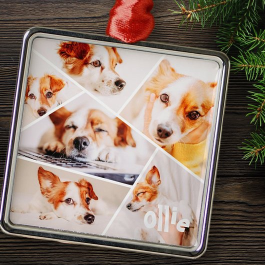 Tiere Modernes, benutzerdefiniertes 6-Bilder-Colla Ornament Aus Metall