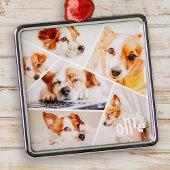 Tiere Modernes, benutzerdefiniertes 6-Bilder-Colla Ornament Aus Metall