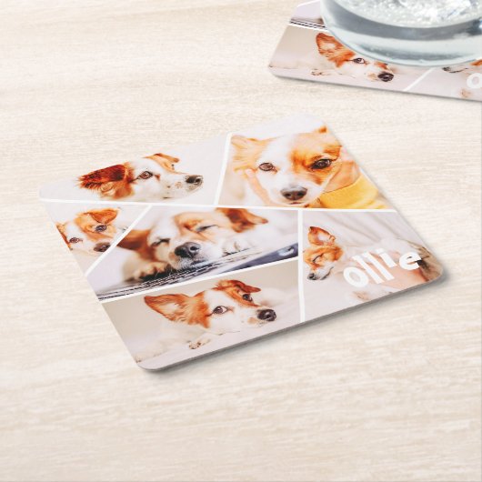 Tiere Modernes, benutzerdefiniertes 6-Bilder-Colla Rechteckiger Pappuntersetzer (angewinkelt)