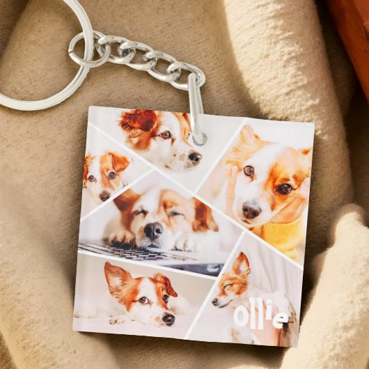 Tiere Modernes, benutzerdefiniertes 6-Bilder-Colla Schlüsselanhänger