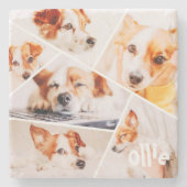 Tiere Modernes, benutzerdefiniertes 6-Bilder-Colla Steinuntersetzer (Vorderseite)