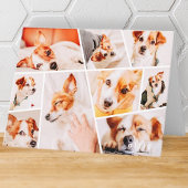 Tiere Modernes, benutzerdefiniertes 9-Bilder-Colla