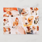 Tiere Modernes, benutzerdefiniertes 9-Bilder-Colla Ankündigungspostkarte (Vorderseite)