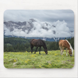 Tiere Mousepad
