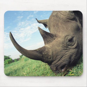 Tiere Mousepad 104