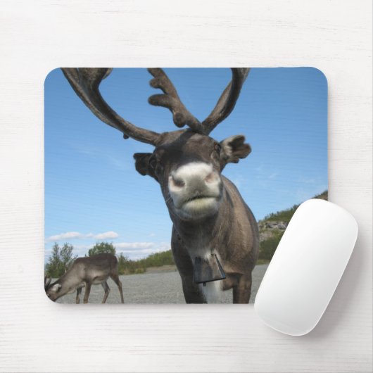 Tiere Mousepad 63 (Mit Mouse)