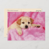 Tiere, Niedliche Welpen Postkarte (Vorne/Hinten)