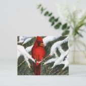 Tiere Postkarte (Stehend Vorderseite)