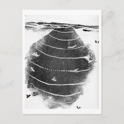 Tiere Postkarte (Vorderseite)