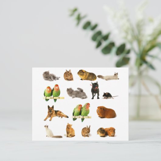 tiere postkarte (Stehend Vorderseite)