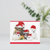 Tiere Postkarte (Stehend Vorderseite)