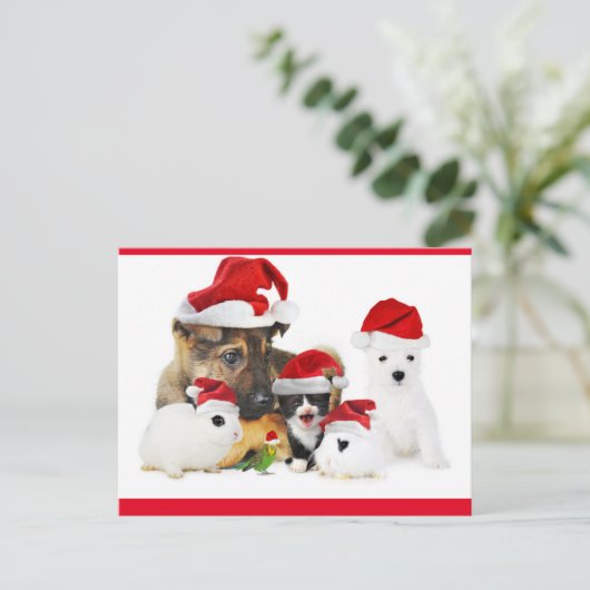 Tiere Postkarte (Stehend Vorderseite)