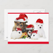 Tiere Postkarte (Vorne/Hinten)