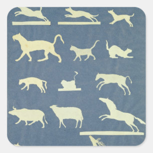 Tiere Quadratischer Aufkleber