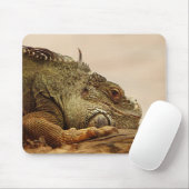 Tiere, Reptilien, Eidechsen Mousepad (Mit Mouse)