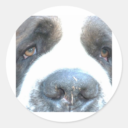 Tiere Runder Aufkleber (Vorderseite)