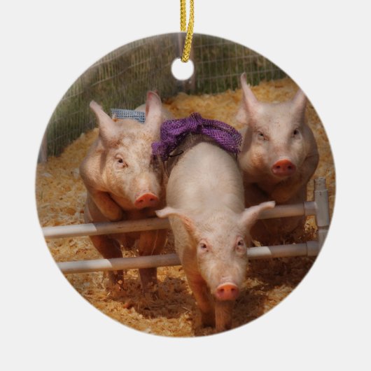 Tiere - Schweinefleisch - Hürden überwinden Keramikornament (Vorne)