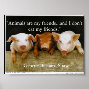 Tiere sind meine Freunde Poster