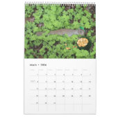 " Tiere Spaß haben! "Kalender Kalender (Mär 2026)