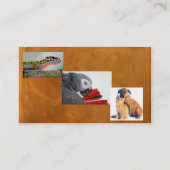 Tiere u. Haustierpflege Visitenkarte (Rückseite)