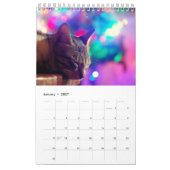 Tiere und Haustiere Kalender (Jan 2027)