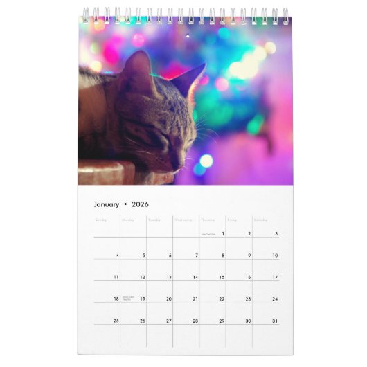 Tiere und Haustiere Kalender (Jan 2026)