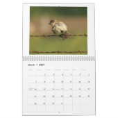 Tiere und Vögel des Geschöpf-Kalenders 2014 Kalender (Mär 2027)