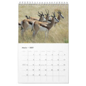 TIERE von Afrika-Kalender 2015 1-Pg. Kalender (Mär 2027)