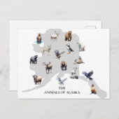 Tiere von Alaska Nordamerika Postkarte (Vorne/Hinten)
