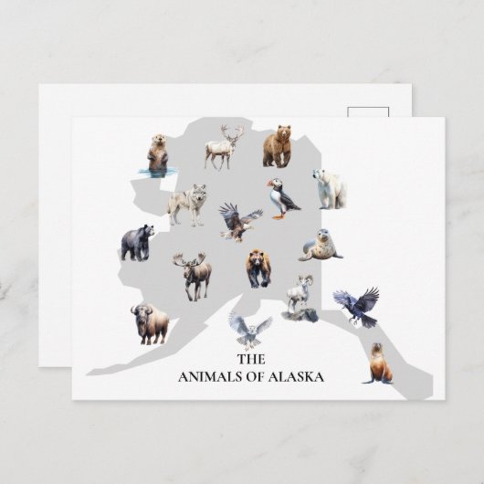 Tiere von Alaska Nordamerika Postkarte (Vorne/Hinten)