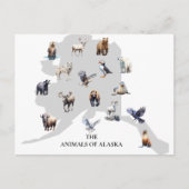 Tiere von Alaska Nordamerika Postkarte (Vorderseite)