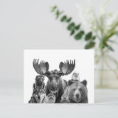 Tiere von Alaska Portrait Bear Moose Wolf Postkarte (Stehend Vorderseite)